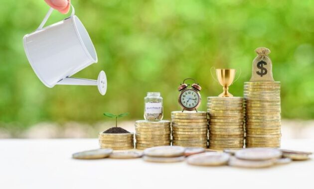 Pengertian, Jenis, Contoh Serta Manfaat Investasi