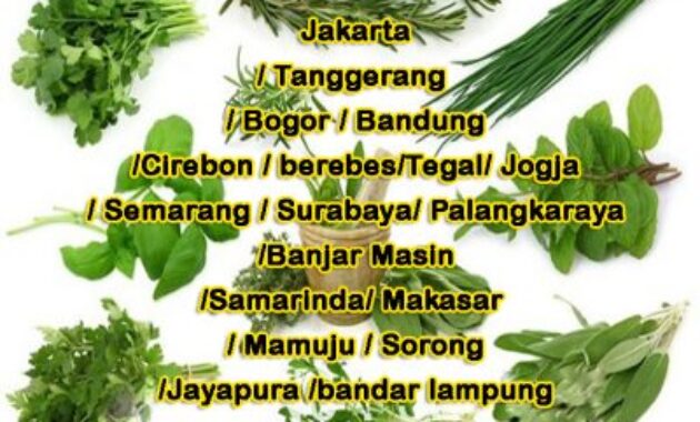 Ahli Pengobatan Alat Vital Jakarta H. Asep Judin